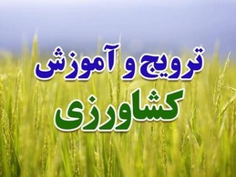 سامانه آموزش بهره برداران کشاورزی